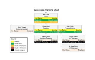 succession planning chart